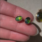 14k Ammolite Oval Stud Earrings